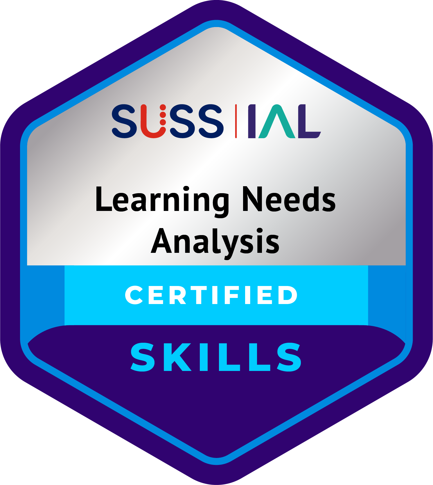 Skills-Learning-Needs-Analysis_NoYear.png