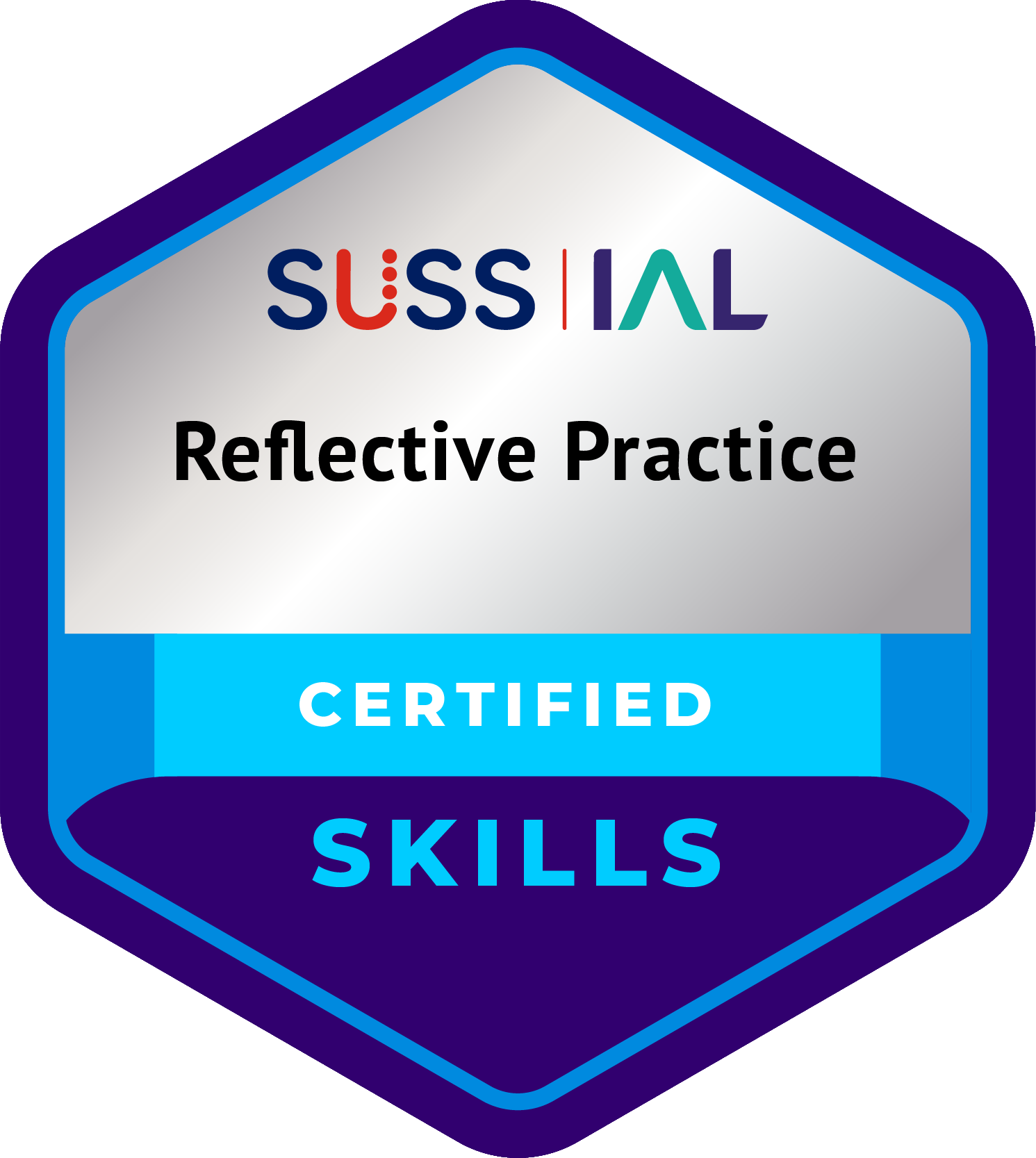 Skills-Reflective-Practice_NoYear.png