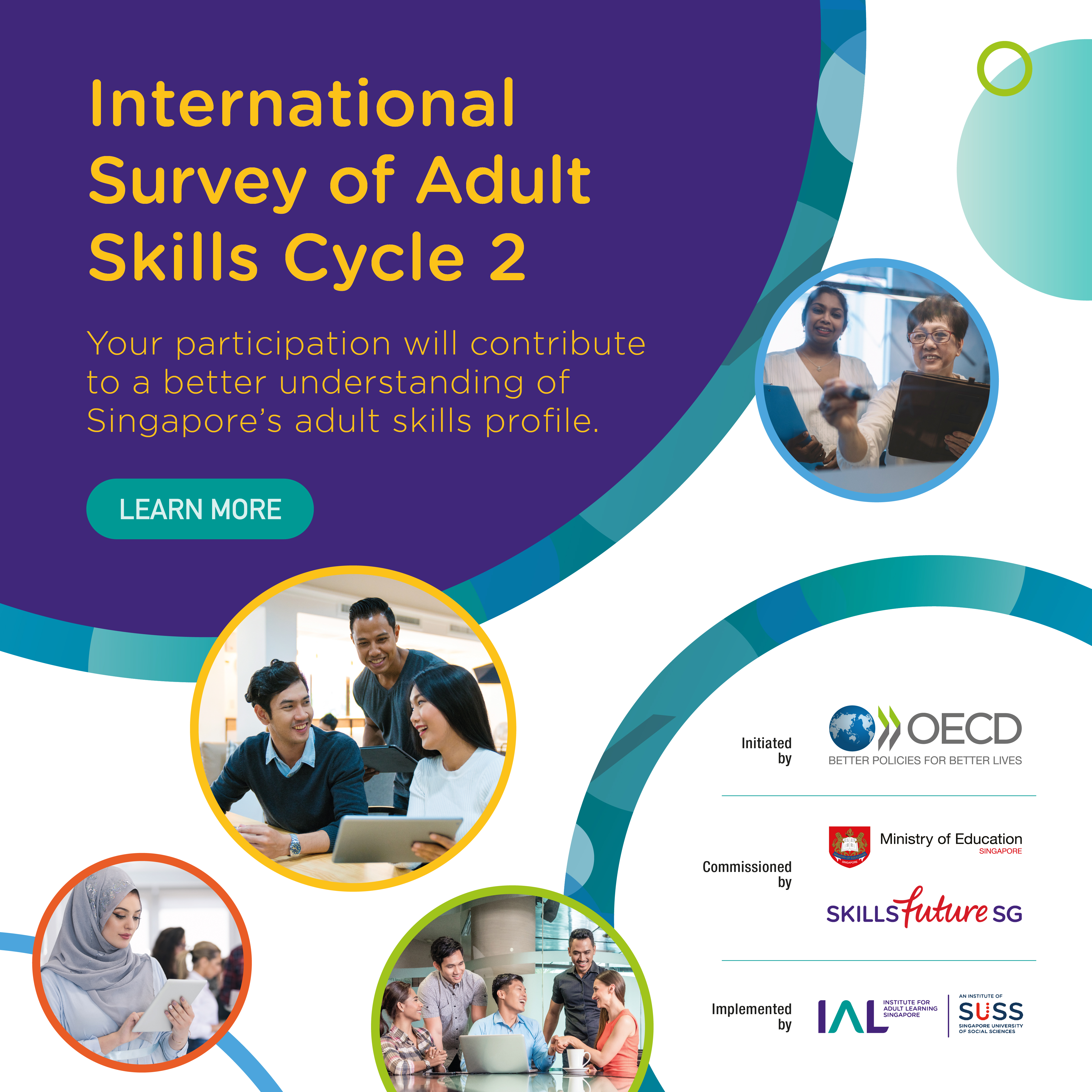 International Survey of Adult Skills